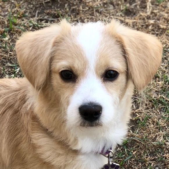 Lil Miss Jessie