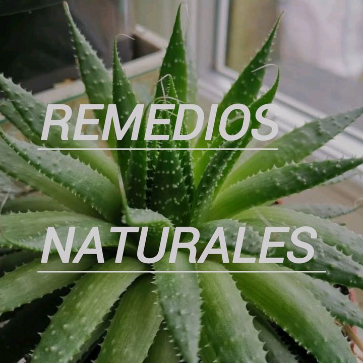 REMEDIOS NATURALES
