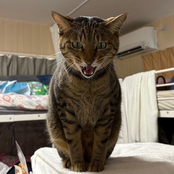 みちこパパ
