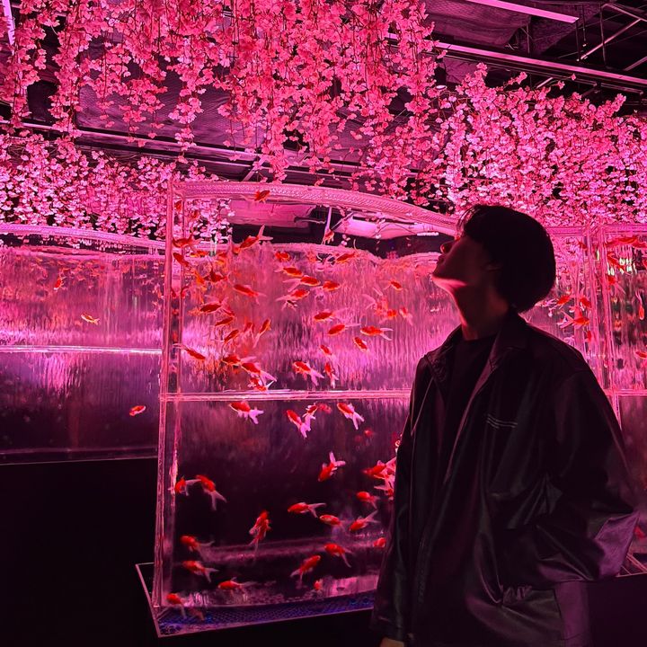 Yuuki real Japan