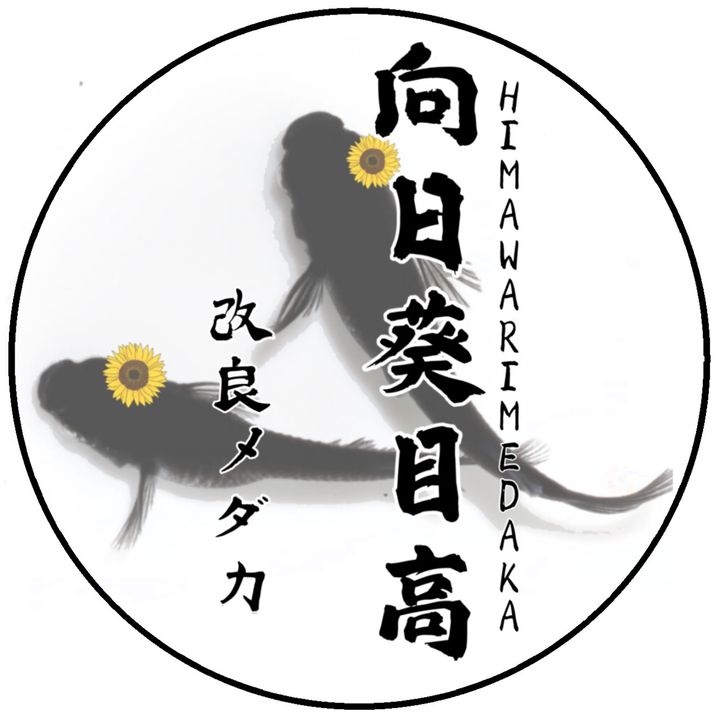 向日葵 himawari メダカ