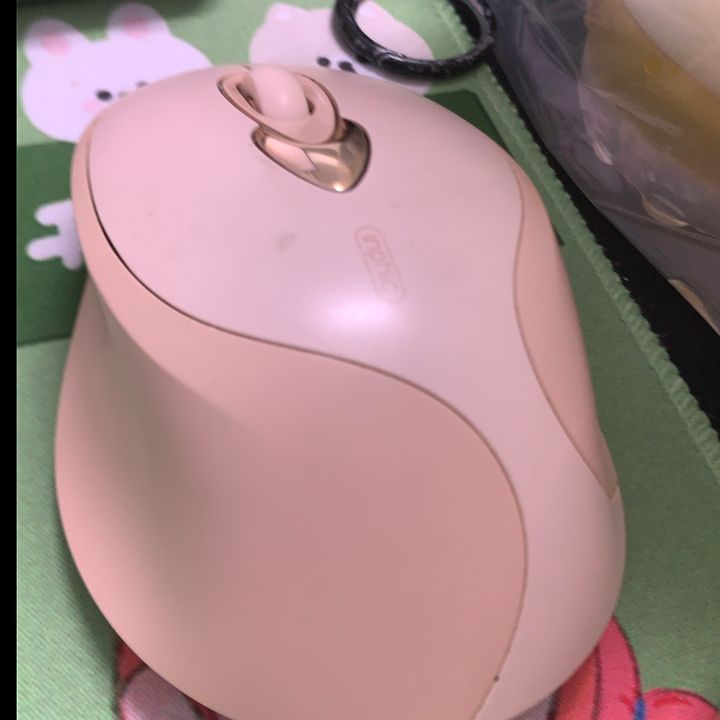 qwoorialqfu