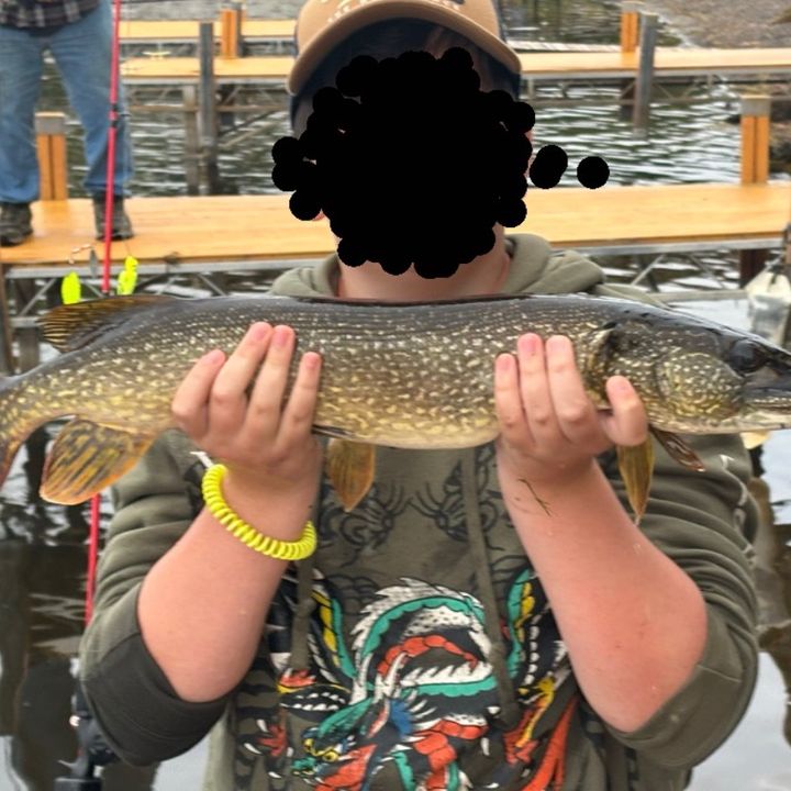 beginnerfishin.