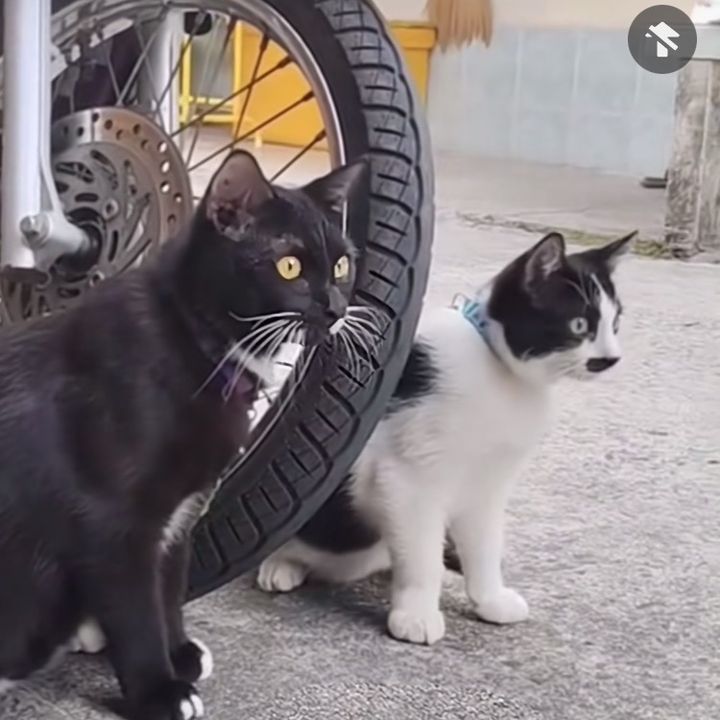 おすすめ映画