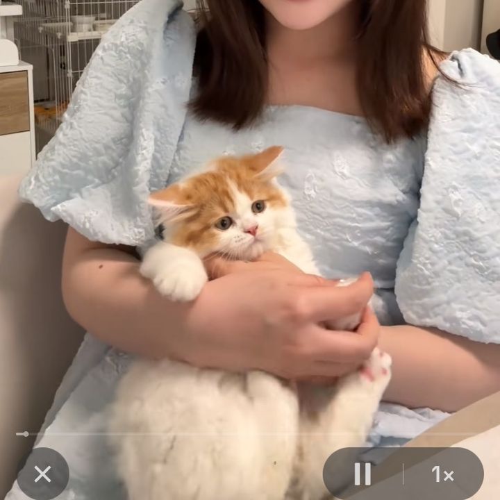 sam_pitma