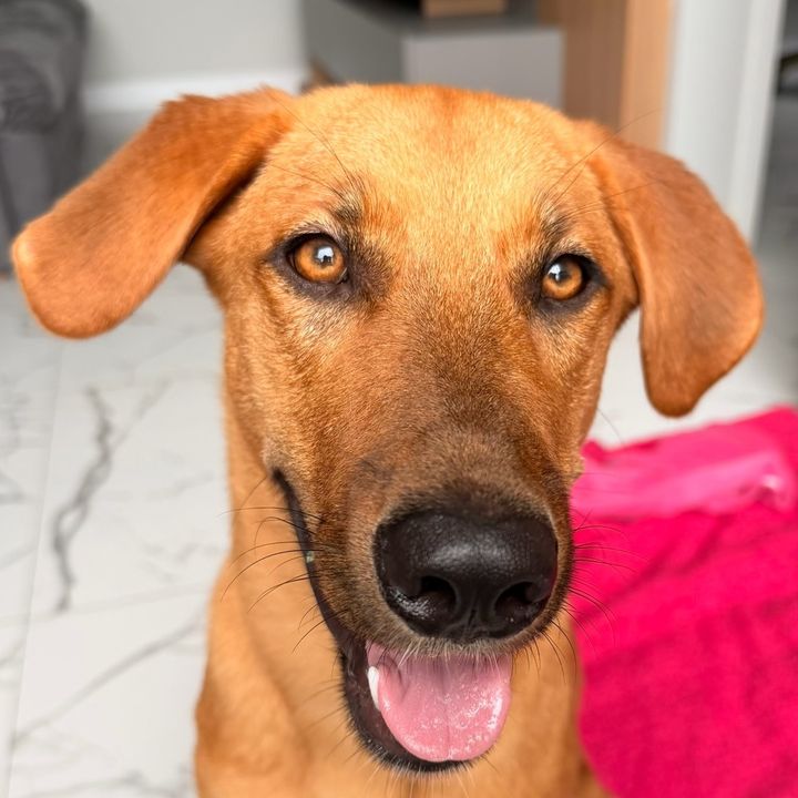 Julie, a caramela