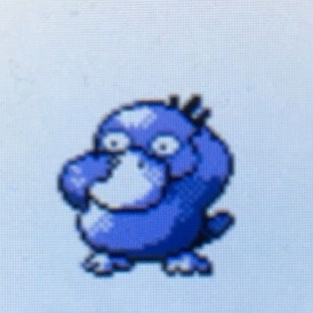 ポケカ部