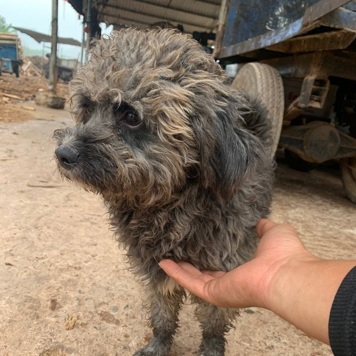 Tạp Hoá Chú Nemm