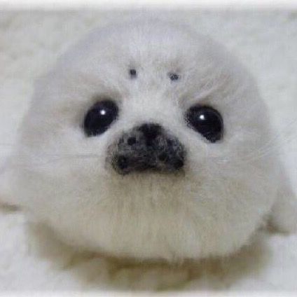 パピコ