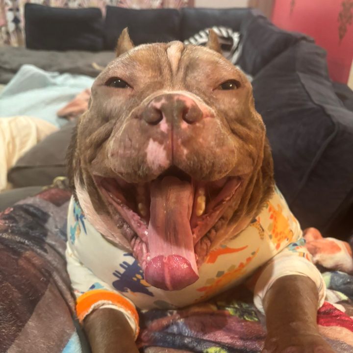Mugsy!🤍🐾