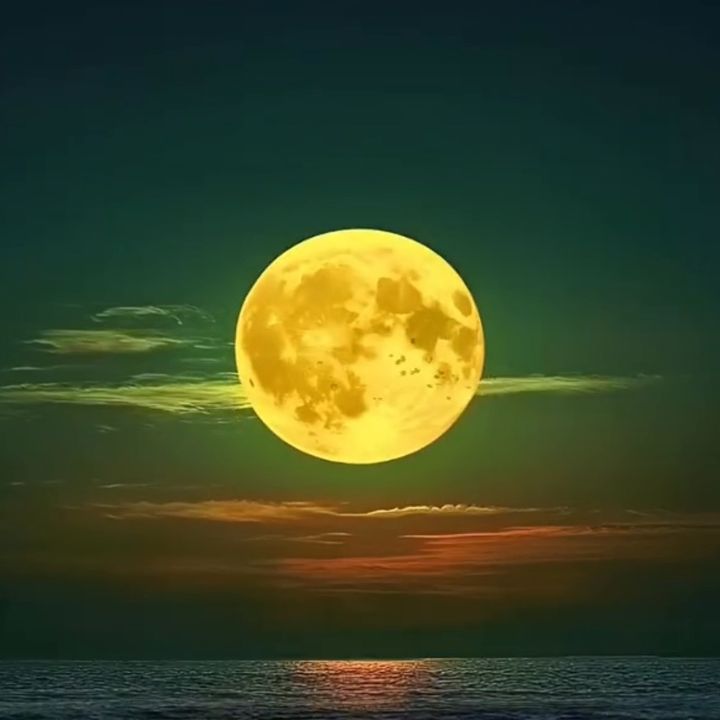 心言葉