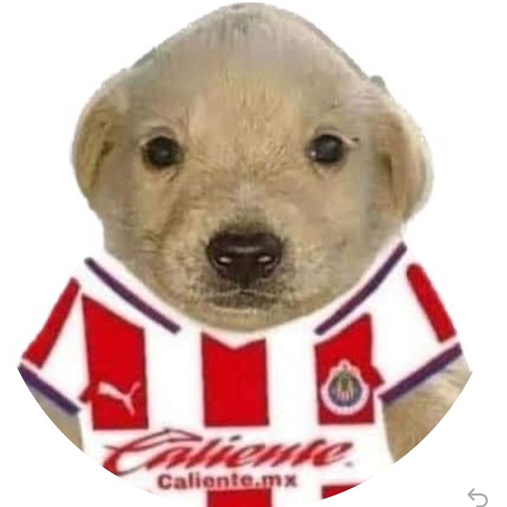 Yeico_chivas