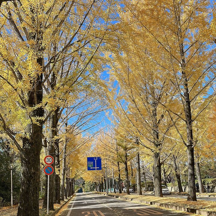 tochigi.nb