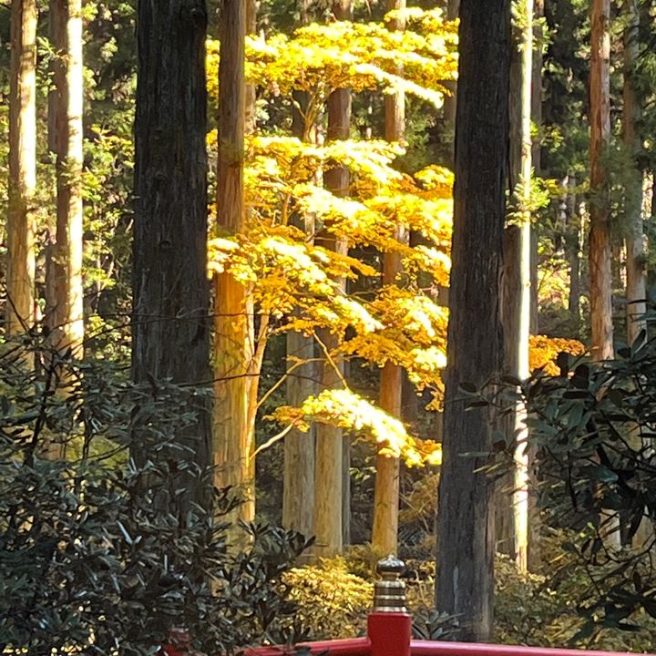 泉水