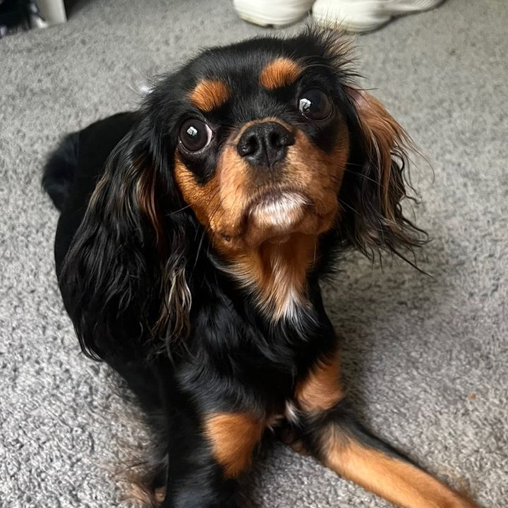 nellie