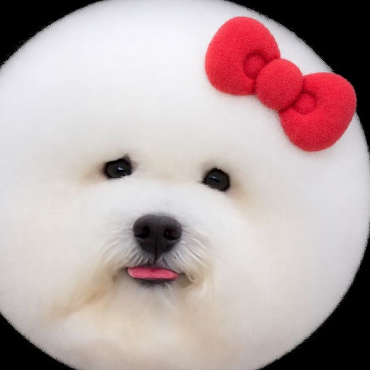動物村長😻animalmayor