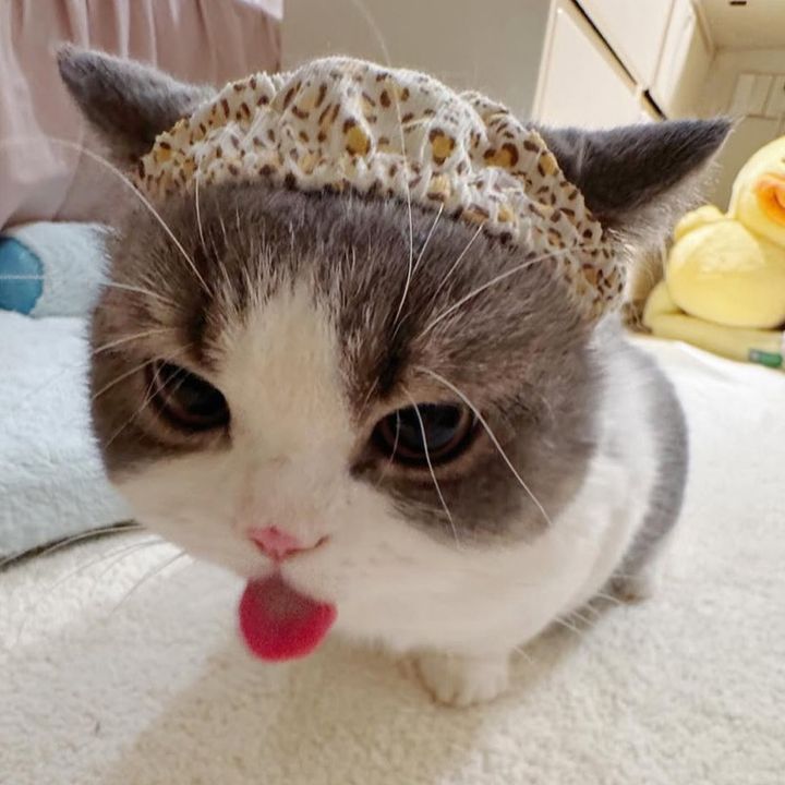 Claris