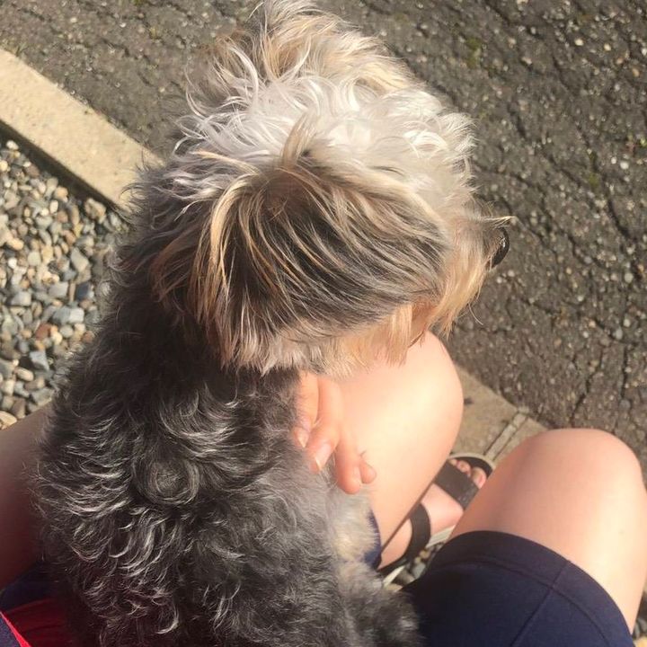みゆ🐶