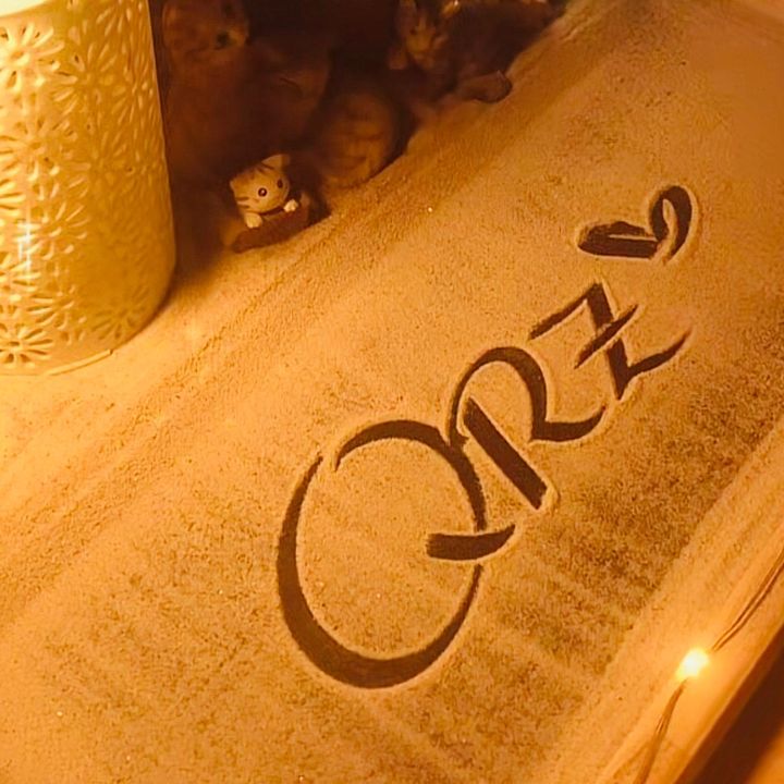 QRZPROJECT