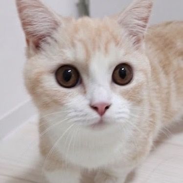 める