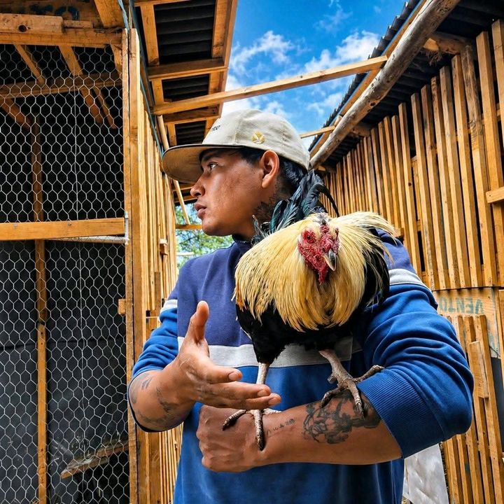 luna🐓
