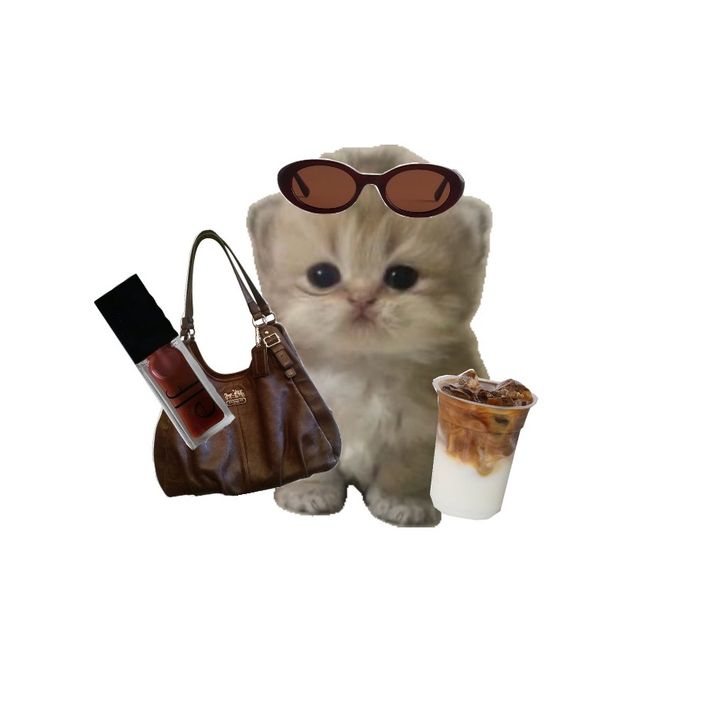 meowshop