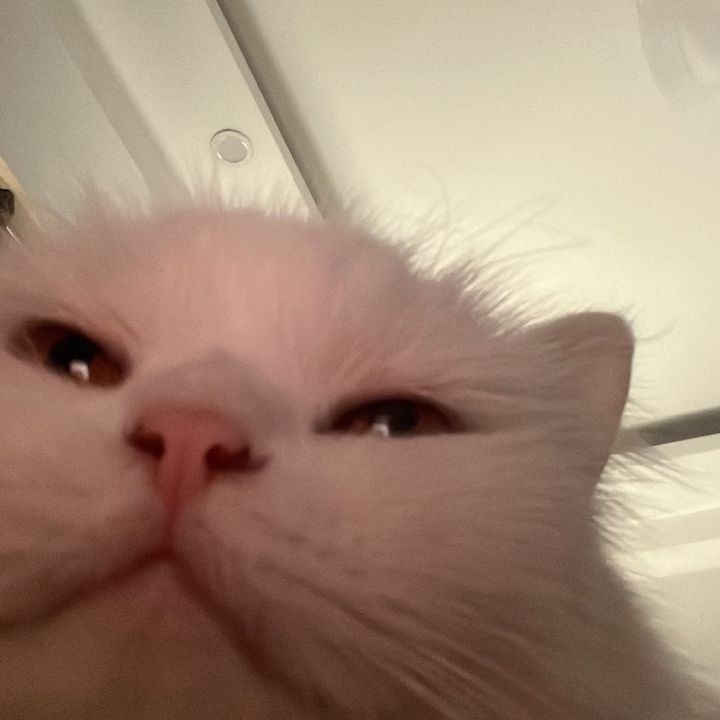 なん
