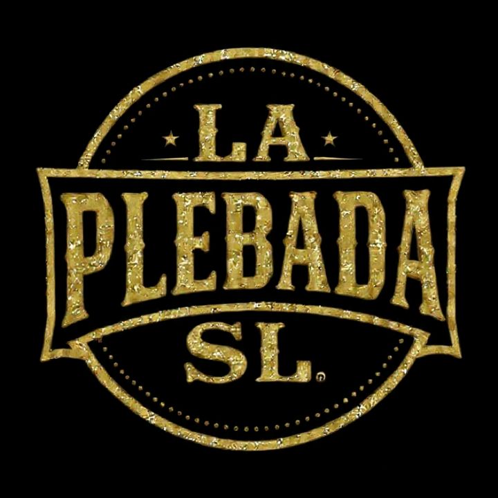 LA PLEBADA SL BY ERIK