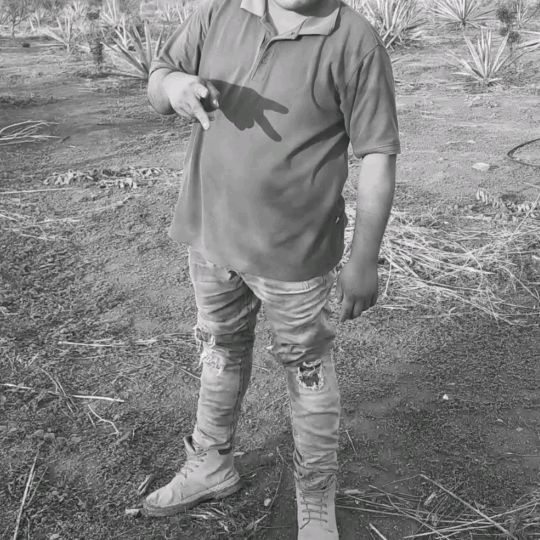 Memo Fuentes (VD) Oficial