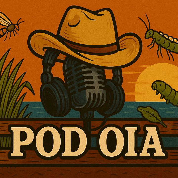 pod.óia
