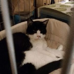 やまだたろう