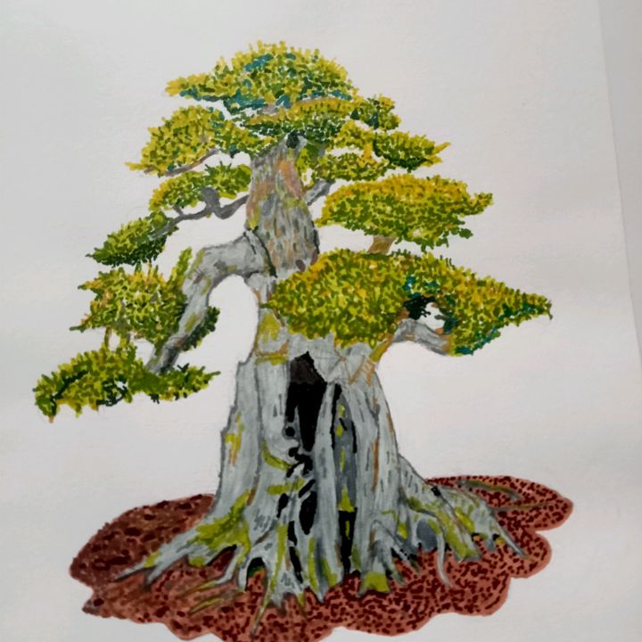 Chew Donica Art