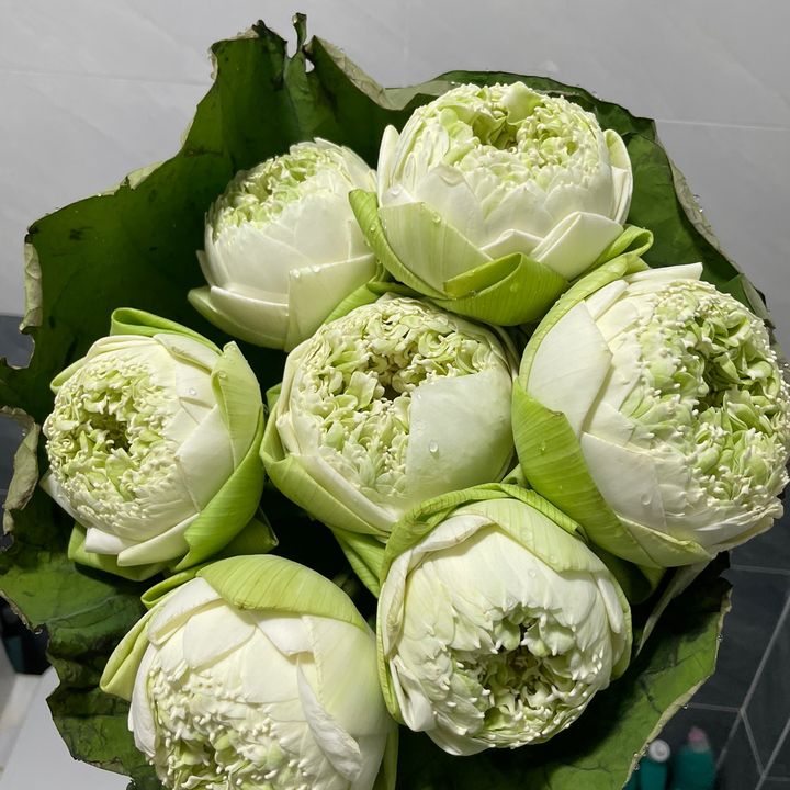 GIA DỤNG GIA ĐÌNH