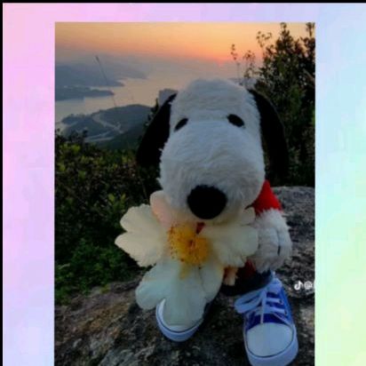 Carol_67