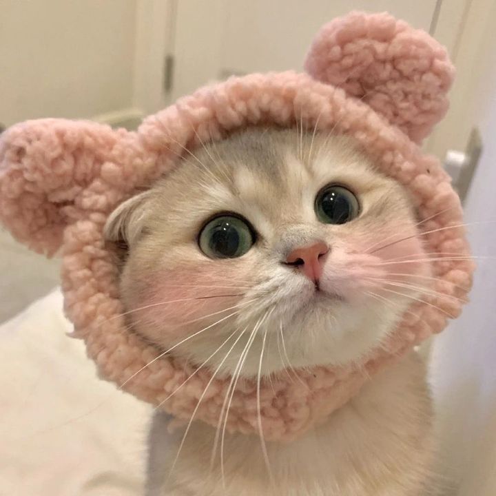 .mimie_2