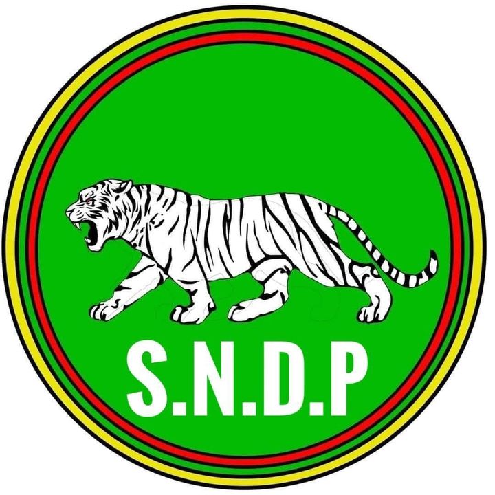 ကျားဖြူပါတီ