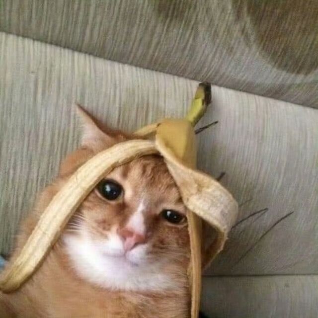 h0m3rQ
