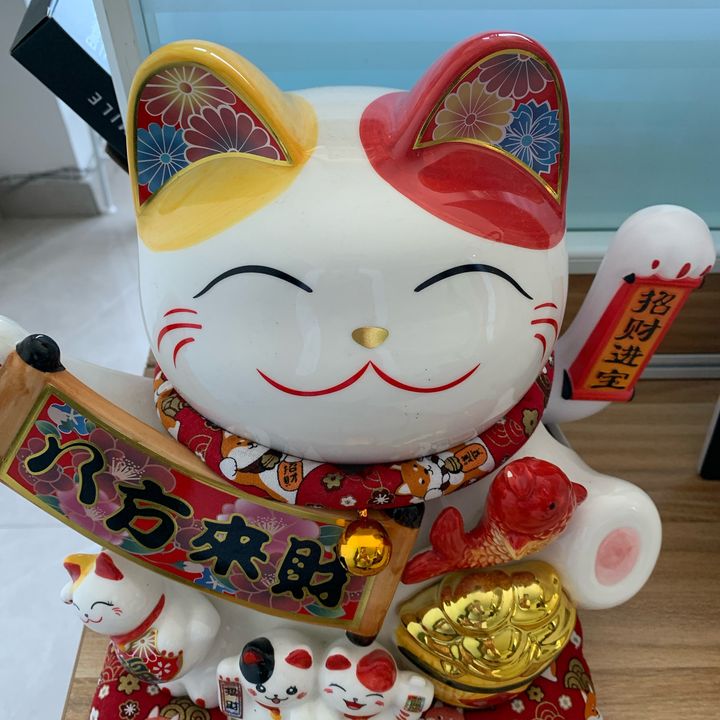 dongmtplixiang12