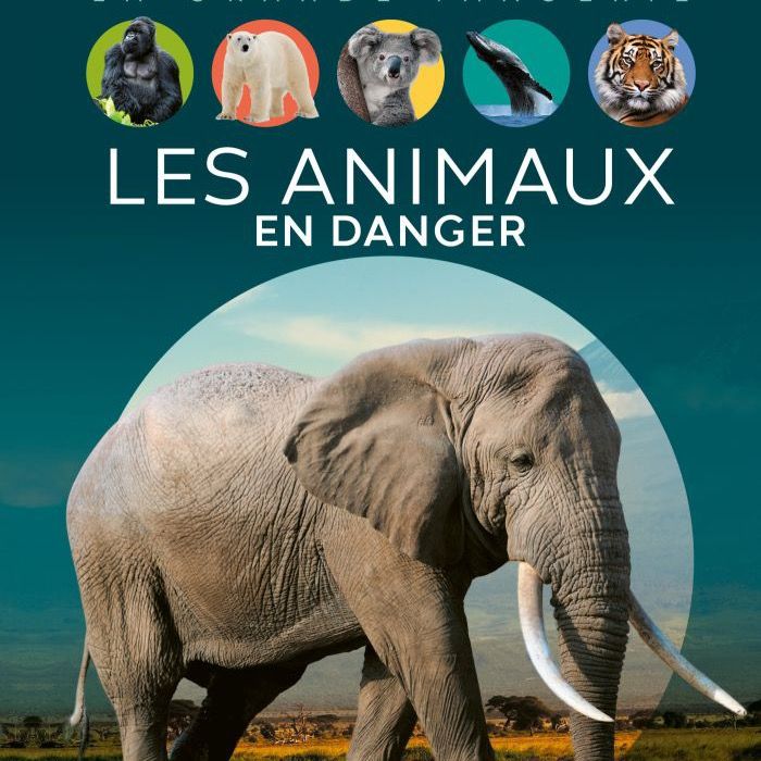 animauxenperil