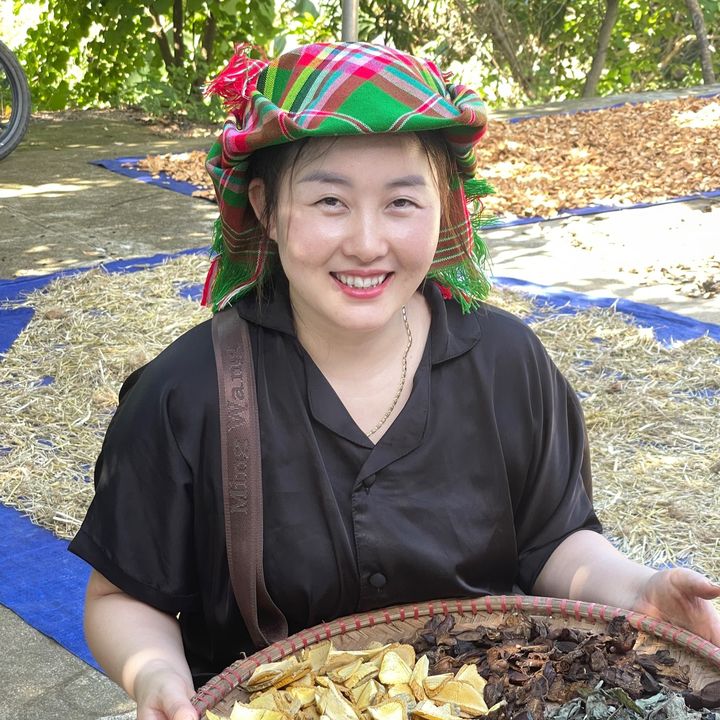 Hoàng cúc (Kub Fang)