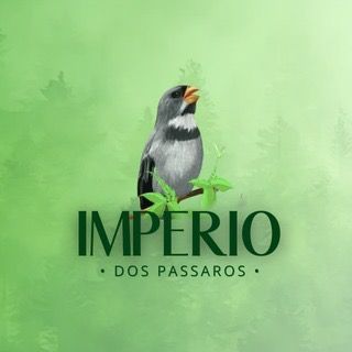 Imperio das Coleiras