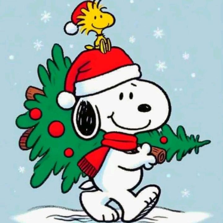 Navidad 🎄