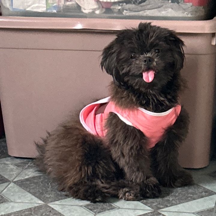 yukii