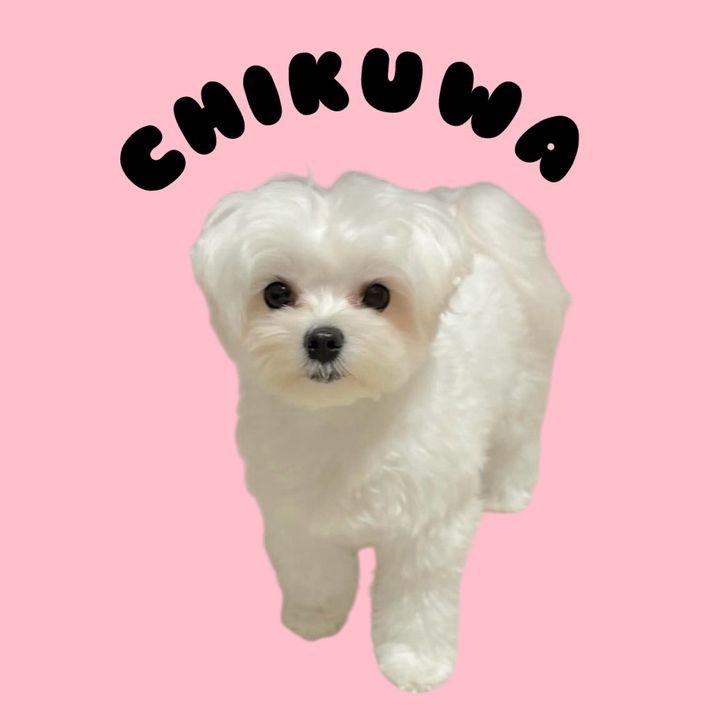 ちくわサン