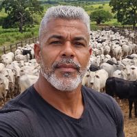 Edson borges