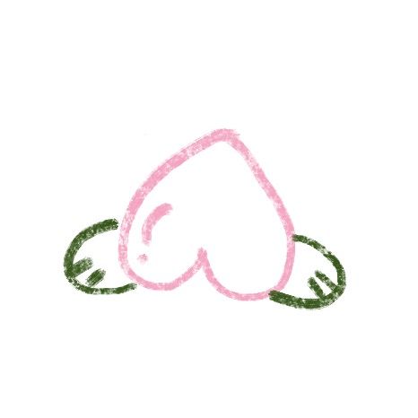 モモの実