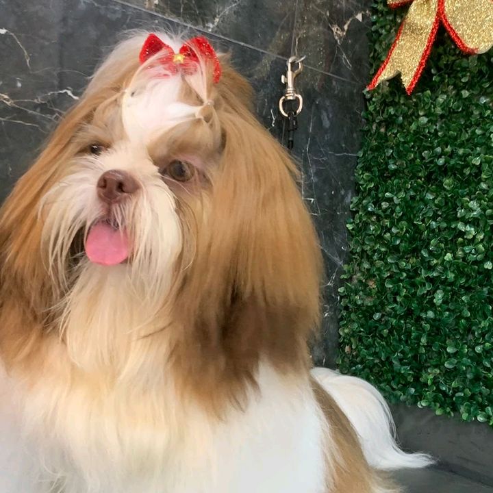 Pri/zoe