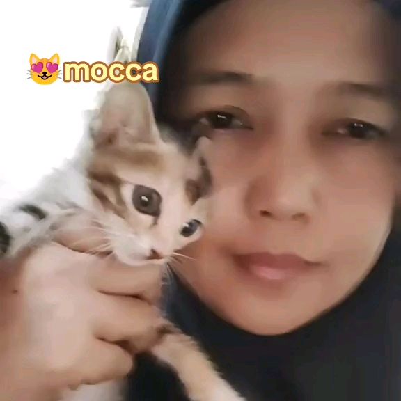Linda | Store