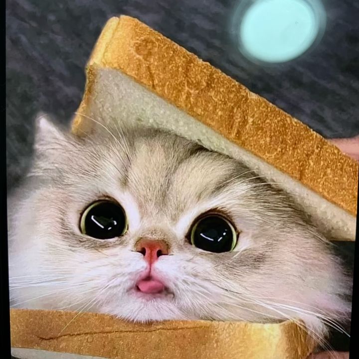caj4ohlkj6