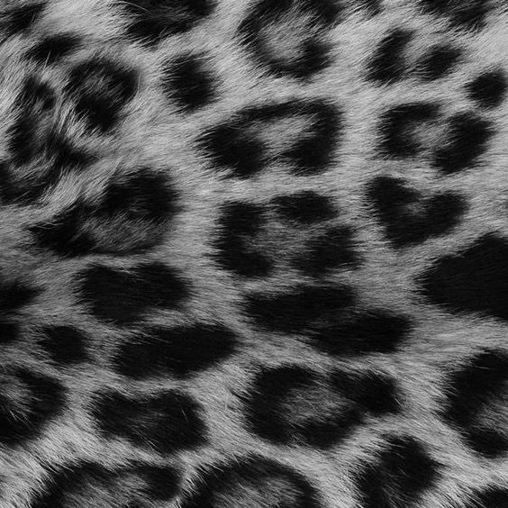 黒髪